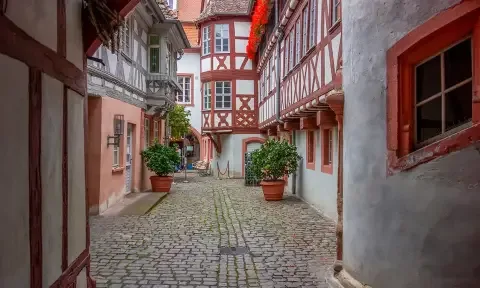 Matratzenreinigung in Neustadt an der Weinstraße